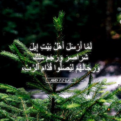 Picture 05 - زَكَريَّا 7:2 AVD - لَمَّا أَرْسَلَ أَهْلُ - Bible Verse Picture