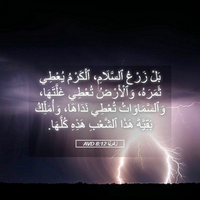 Picture 05 - زَكَريَّا 8:12 AVD - بَلْ زَرْعُ ٱلسَّلَامِ، - Bible Verse Picture