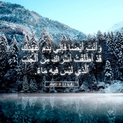 Picture 05 - زَكَريَّا 9:11 AVD - وَأَنْتِ أَيْضًا فَإِنِّي - Bible Verse Picture