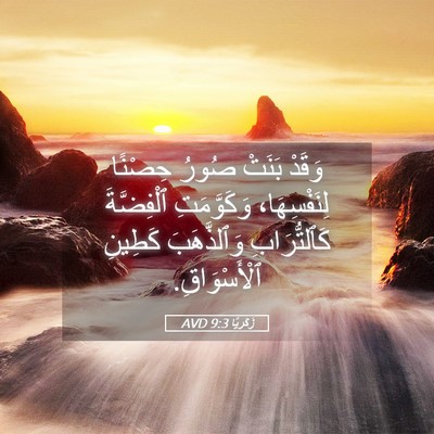 Picture 05 - زَكَريَّا 9:3 AVD - وَقَدْ بَنَتْ صُورُ - Bible Verse Picture