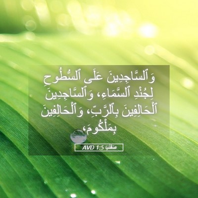 Picture 05 - صَفَنْيَا 1:5 AVD - وَٱلسَّاجِدِينَ عَلَى - Bible Verse Picture