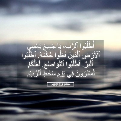 Picture 05 - صَفَنْيَا 2:3 AVD - أُطْلُبُوا ٱلرَّبَّ، يَا - Bible Verse Picture