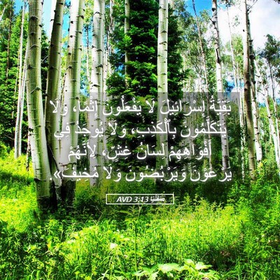 Picture 05 - صَفَنْيَا 3:13 AVD - بَقِيَّةُ إِسْرَائِيلَ - Bible Verse Picture