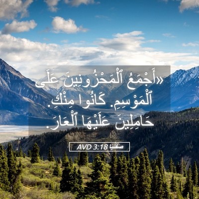Picture 05 - صَفَنْيَا 3:18 AVD - «أَجْمَعُ ٱلْمَحْزُونِينَ - Bible Verse Picture