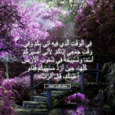 Picture 05 - صَفَنْيَا 3:20 AVD - فِي ٱلْوَقْتِ ٱلَّذِي - Bible Verse Picture