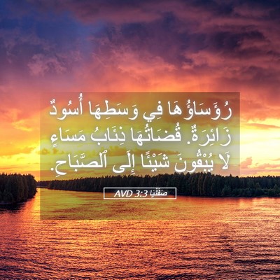 Picture 05 - صَفَنْيَا 3:3 AVD - رُؤَسَاؤُهَا فِي - Bible Verse Picture