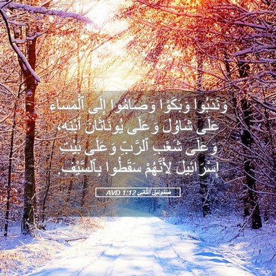 Picture 05 - صَمُوئِيلَ ٱلثَّانِي 1:12 AVD - وَنَدَبُوا وَبَكَوْا - Bible Verse Picture