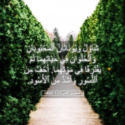 Picture 05 - صَمُوئِيلَ ٱلثَّانِي 1:23 AVD - شَاوُلُ وَيُونَاثَانُ - Bible Verse Picture