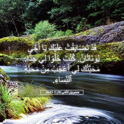 Picture 05 - صَمُوئِيلَ ٱلثَّانِي 1:26 AVD - قَدْ تَضَايَقْتُ عَلَيْكَ - Bible Verse Picture