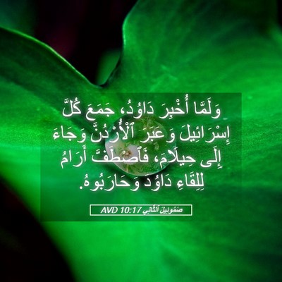 Picture 05 - صَمُوئِيلَ ٱلثَّانِي 10:17 AVD - وَلَمَّا أُخْبِرَ - Bible Verse Picture