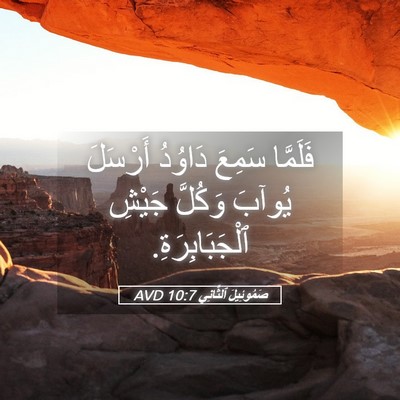 Picture 05 - صَمُوئِيلَ ٱلثَّانِي 10:7 AVD - فَلَمَّا سَمِعَ دَاوُدُ - Bible Verse Picture