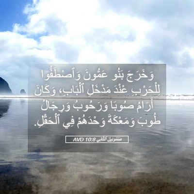 Picture 05 - صَمُوئِيلَ ٱلثَّانِي 10:8 AVD - وَخَرَجَ بَنُو عَمُّونَ - Bible Verse Picture