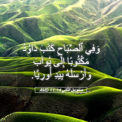 Picture 05 - صَمُوئِيلَ ٱلثَّانِي 11:14 AVD - وَفِي ٱلصَّبَاحِ كَتَبَ - Bible Verse Picture