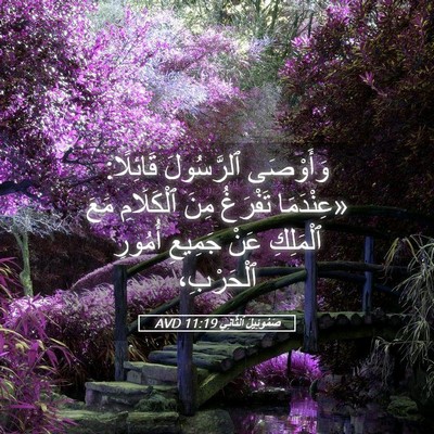Picture 05 - صَمُوئِيلَ ٱلثَّانِي 11:19 AVD - وَأَوْصَى ٱلرَّسُولَ - Bible Verse Picture