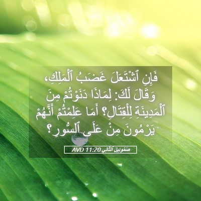 Picture 05 - صَمُوئِيلَ ٱلثَّانِي 11:20 AVD - فَإِنِ ٱشْتَعَلَ غَضَبُ - Bible Verse Picture