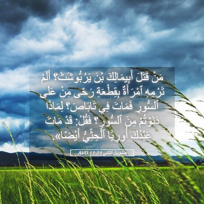 Picture 05 - صَمُوئِيلَ ٱلثَّانِي 11:21 AVD - مَنْ قَتَلَ أَبِيمَالِكَ - Bible Verse Picture