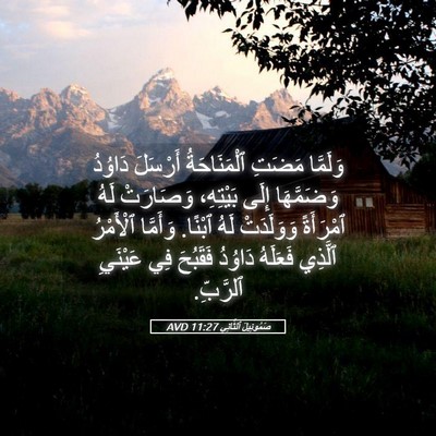 Picture 05 - صَمُوئِيلَ ٱلثَّانِي 11:27 AVD - وَلَمَّا مَضَتِ - Bible Verse Picture