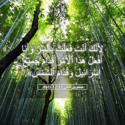 Picture 05 - صَمُوئِيلَ ٱلثَّانِي 12:12 AVD - لِأَنَّكَ أَنْتَ فَعَلْتَ - Bible Verse Picture