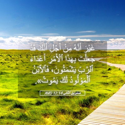 Picture 05 - صَمُوئِيلَ ٱلثَّانِي 12:14 AVD - غَيْرَ أَنَّهُ مِنْ أَجْلِ - Bible Verse Picture