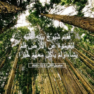 Picture 05 - صَمُوئِيلَ ٱلثَّانِي 12:17 AVD - فَقَامَ شُيُوخُ بَيْتِهِ - Bible Verse Picture