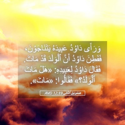 Picture 05 - صَمُوئِيلَ ٱلثَّانِي 12:19 AVD - وَرَأَى دَاوُدُ عَبِيدَهُ - Bible Verse Picture