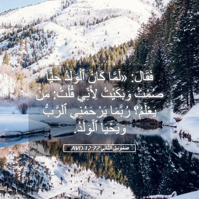 Picture 05 - صَمُوئِيلَ ٱلثَّانِي 12:22 AVD - فَقَالَ: «لَمَّا كَانَ - Bible Verse Picture