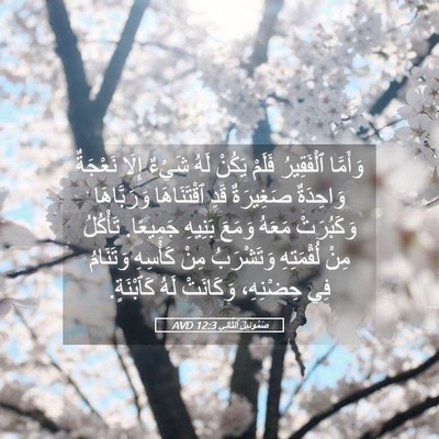 Picture 05 - صَمُوئِيلَ ٱلثَّانِي 12:3 AVD - وَأَمَّا ٱلْفَقِيرُ - Bible Verse Picture