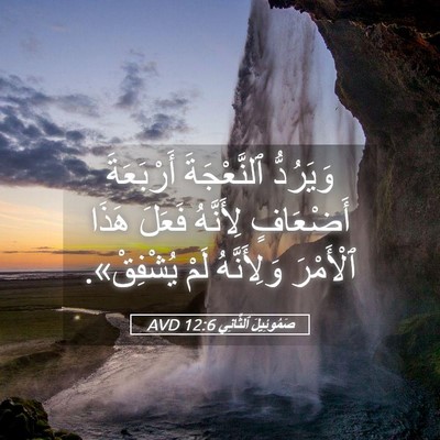 Picture 05 - صَمُوئِيلَ ٱلثَّانِي 12:6 AVD - وَيَرُدُّ ٱلنَّعْجَةَ - Bible Verse Picture