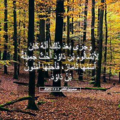 Picture 05 - صَمُوئِيلَ ٱلثَّانِي 13:1 AVD - وَجَرَى بَعْدَ ذَلِكَ - Bible Verse Picture