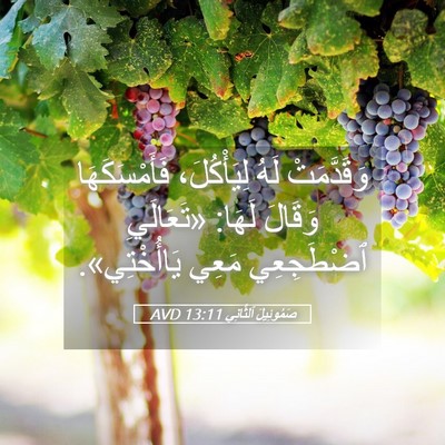Picture 05 - صَمُوئِيلَ ٱلثَّانِي 13:11 AVD - وَقَدَّمَتْ لَهُ - Bible Verse Picture