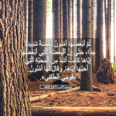 Picture 05 - صَمُوئِيلَ ٱلثَّانِي 13:15 AVD - ثُمَّ أَبْغَضَهَا - Bible Verse Picture