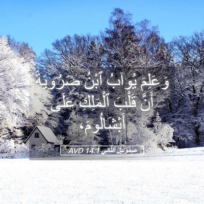 Picture 05 - صَمُوئِيلَ ٱلثَّانِي 14:1 AVD - وَعَلِمَ يُوآبُ ٱبْنُ - Bible Verse Picture