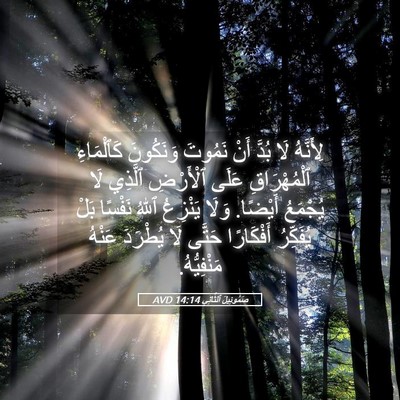 Picture 05 - صَمُوئِيلَ ٱلثَّانِي 14:14 AVD - لِأَنَّهُ لَا بُدَّ أَنْ - Bible Verse Picture