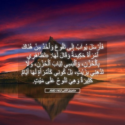 Picture 05 - صَمُوئِيلَ ٱلثَّانِي 14:2 AVD - فَأَرْسَلَ يُوآبُ إِلَى - Bible Verse Picture