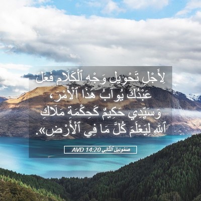Picture 05 - صَمُوئِيلَ ٱلثَّانِي 14:20 AVD - لِأَجْلِ تَحْوِيلِ وَجْهِ - Bible Verse Picture