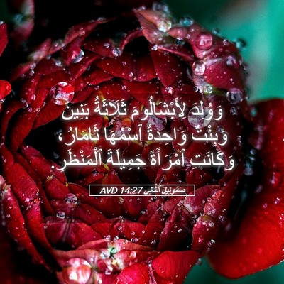 Picture 05 - صَمُوئِيلَ ٱلثَّانِي 14:27 AVD - وَوُلِدَ لِأَبْشَالُومَ - Bible Verse Picture