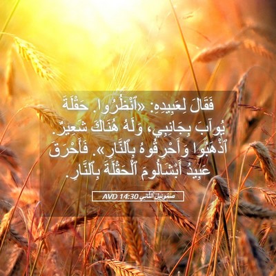 Picture 05 - صَمُوئِيلَ ٱلثَّانِي 14:30 AVD - فَقَالَ لِعَبِيدِهِ: - Bible Verse Picture