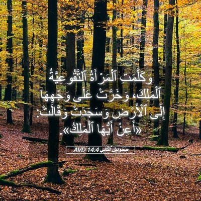 Picture 05 - صَمُوئِيلَ ٱلثَّانِي 14:4 AVD - وَكَلَّمَتِ ٱلْمَرْأَةُ - Bible Verse Picture