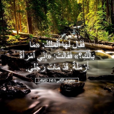 Picture 05 - صَمُوئِيلَ ٱلثَّانِي 14:5 AVD - فَقَالَ لَهَا ٱلْمَلِكُ: - Bible Verse Picture