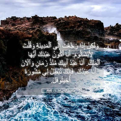 Picture 05 - صَمُوئِيلَ ٱلثَّانِي 15:34 AVD - وَلَكِنْ إِذَا رَجَعْتَ - Bible Verse Picture