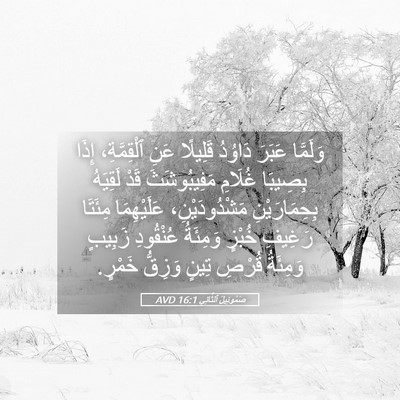 Picture 05 - صَمُوئِيلَ ٱلثَّانِي 16:1 AVD - وَلَمَّا عَبَرَ دَاوُدُ - Bible Verse Picture
