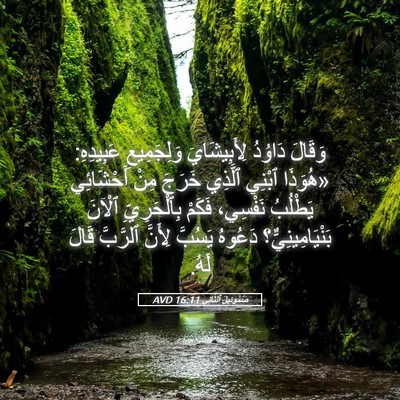 Picture 05 - صَمُوئِيلَ ٱلثَّانِي 16:11 AVD - وَقَالَ دَاوُدُ - Bible Verse Picture