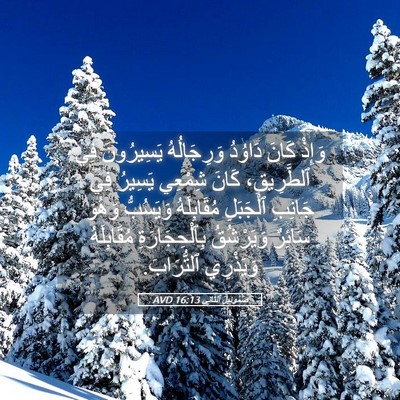 Picture 05 - صَمُوئِيلَ ٱلثَّانِي 16:13 AVD - وَإِذْ كَانَ دَاوُدُ - Bible Verse Picture