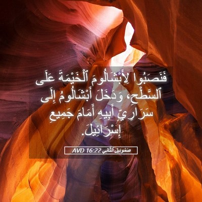 Picture 05 - صَمُوئِيلَ ٱلثَّانِي 16:22 AVD - فَنَصَبُوا لِأَبْشَالُومَ - Bible Verse Picture