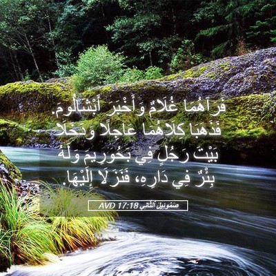 Picture 05 - صَمُوئِيلَ ٱلثَّانِي 17:18 AVD - فَرَآهُمَا غُلَامٌ - Bible Verse Picture