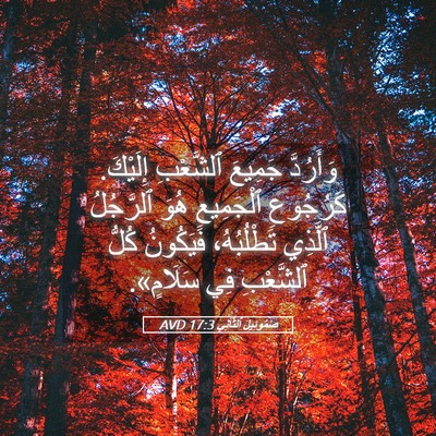 Picture 05 - صَمُوئِيلَ ٱلثَّانِي 17:3 AVD - وَأَرُدَّ جَمِيعَ - Bible Verse Picture