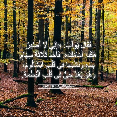 Picture 05 - صَمُوئِيلَ ٱلثَّانِي 18:14 AVD - فَقَالَ يُوآبُ: «إِنِّي - Bible Verse Picture
