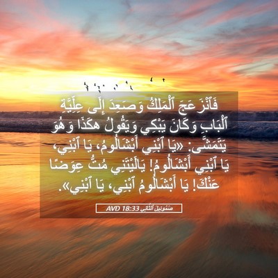 Picture 05 - صَمُوئِيلَ ٱلثَّانِي 18:33 AVD - فَٱنْزَعَجَ ٱلْمَلِكُ - Bible Verse Picture