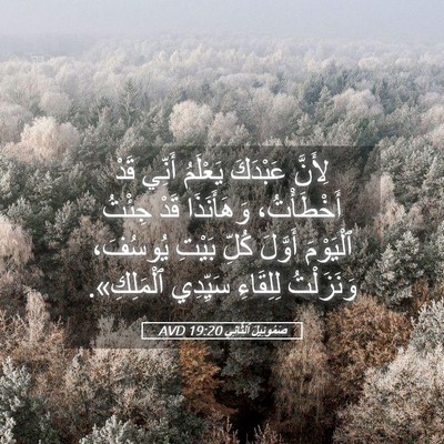 Picture 05 - صَمُوئِيلَ ٱلثَّانِي 19:20 AVD - لِأَنَّ عَبْدَكَ يَعْلَمُ - Bible Verse Picture