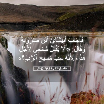 Picture 05 - صَمُوئِيلَ ٱلثَّانِي 19:21 AVD - فَأَجَابَ أَبِيشَايُ - Bible Verse Picture
